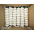 Verschiedene Pakete von Jinxiang Pure White Knoblauch